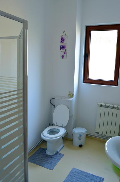Exit Routine Hostel Тімішоара Екстер'єр фото
